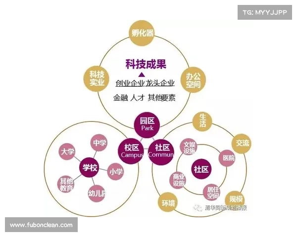 星系形成机制的多视角分析与研究进展探讨 星系形成机制的多视角分析与研究进展探讨